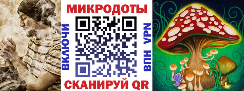 Купить  Далматово  Псилоцибиновые грибы мицелий 
